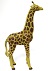 ✿ ZOO