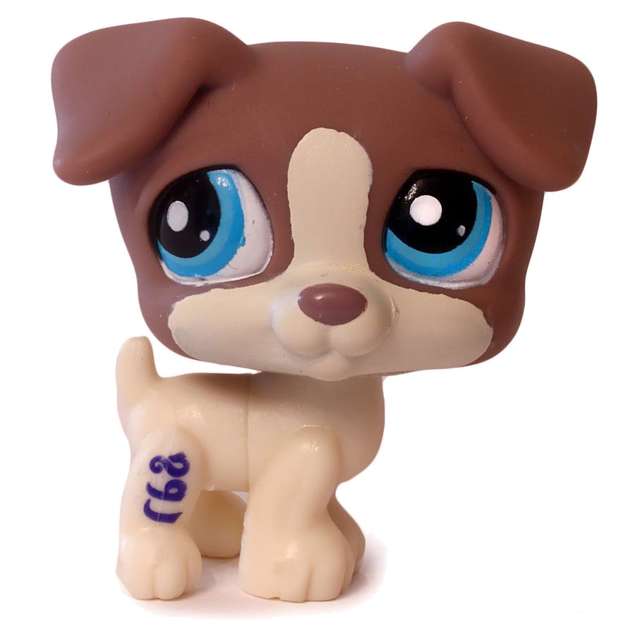 ❀ Jack Russell terier 