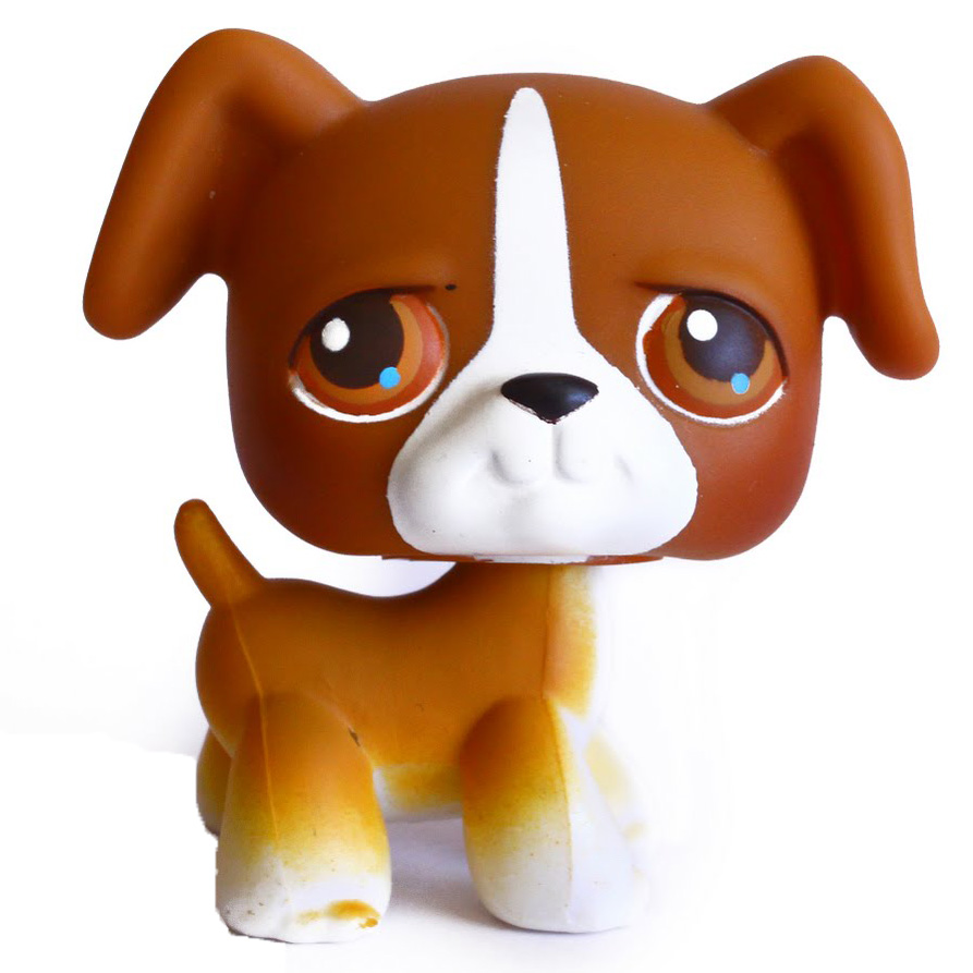 ❀ Boxer