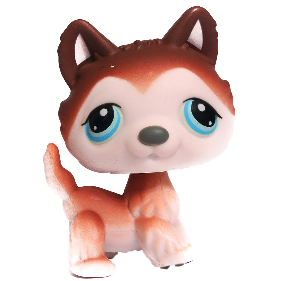 ❀ Husky
