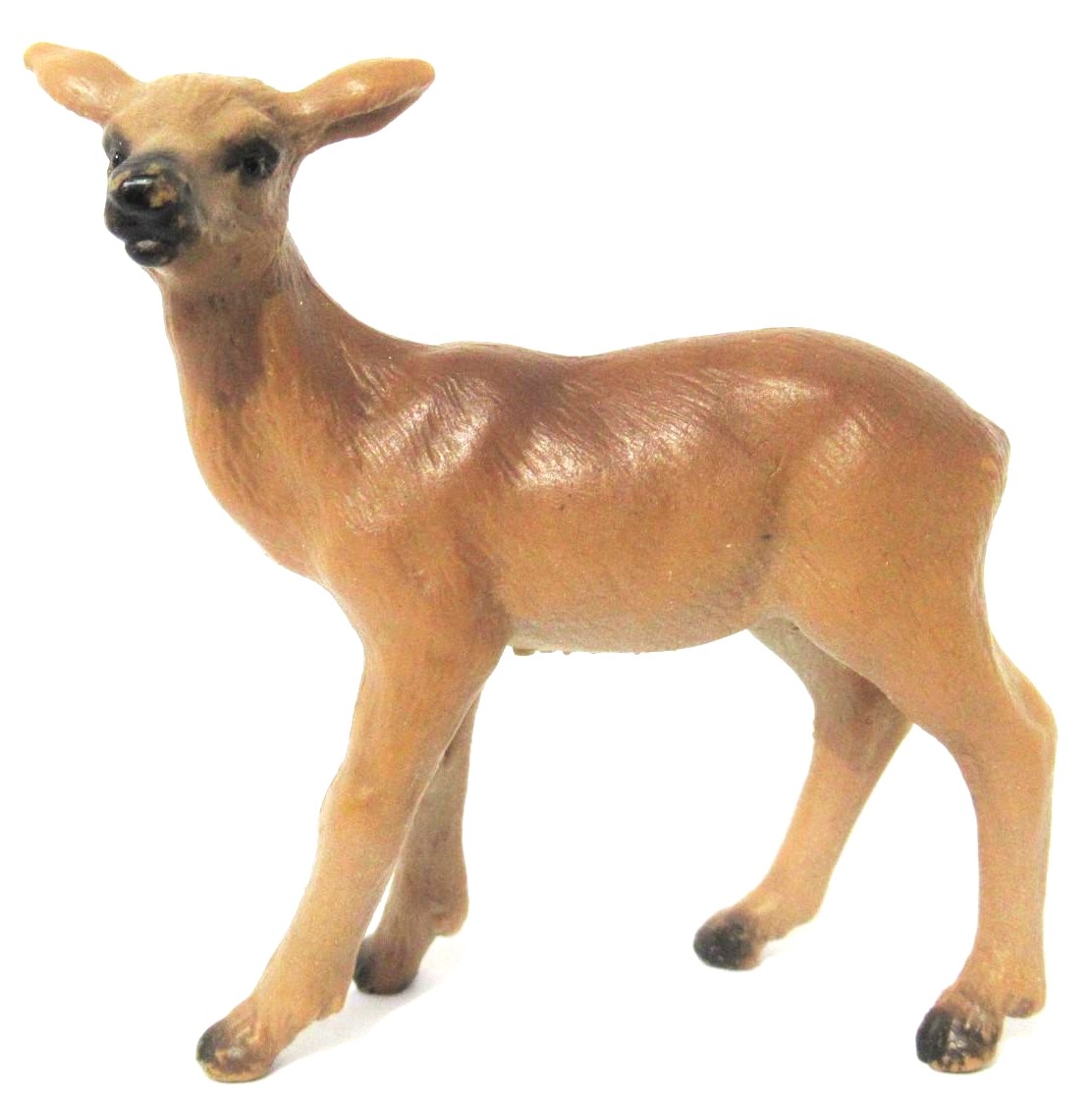 ✿ Lesní ✿ Polní