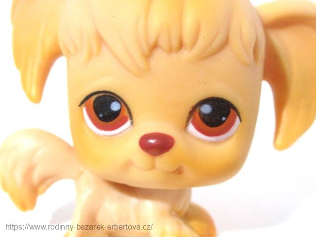 LITTLEST PET SHOP pes Kokršpaněl LPS 26 + červený magnet č.2