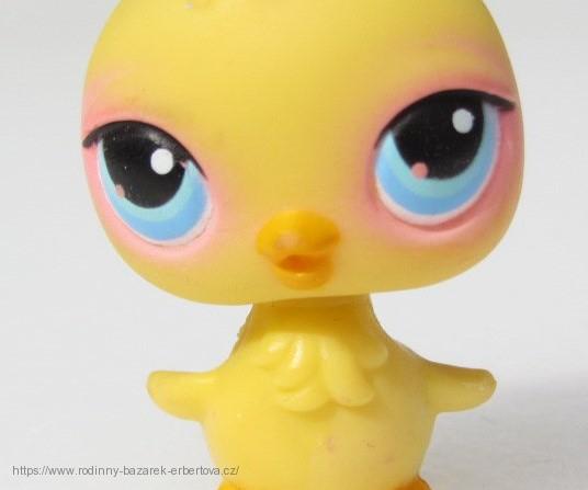 Littlest Pet Shop pták kuřátko Kuře LPS 13 + červený magnet  č.1