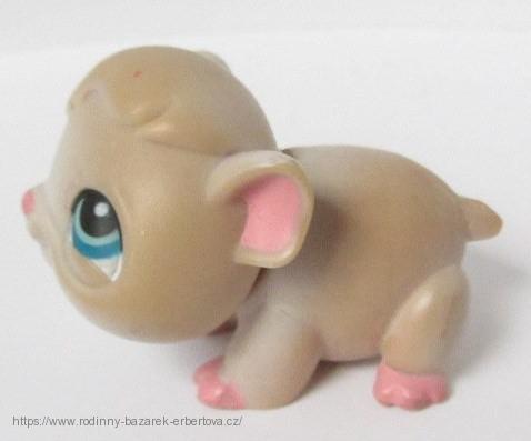 LITTLEST PET SHOP Morče LPS 288 + červený magnet č.1