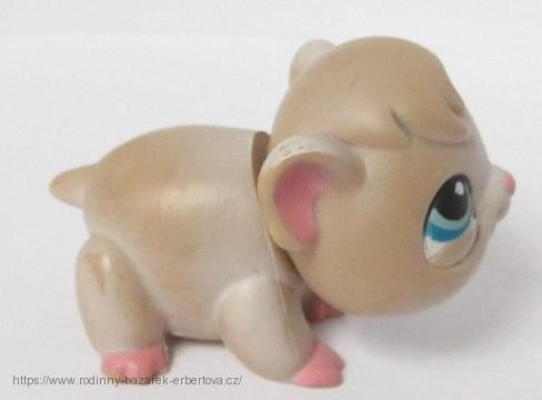 LITTLEST PET SHOP Morče LPS 288 + červený magnet č.1