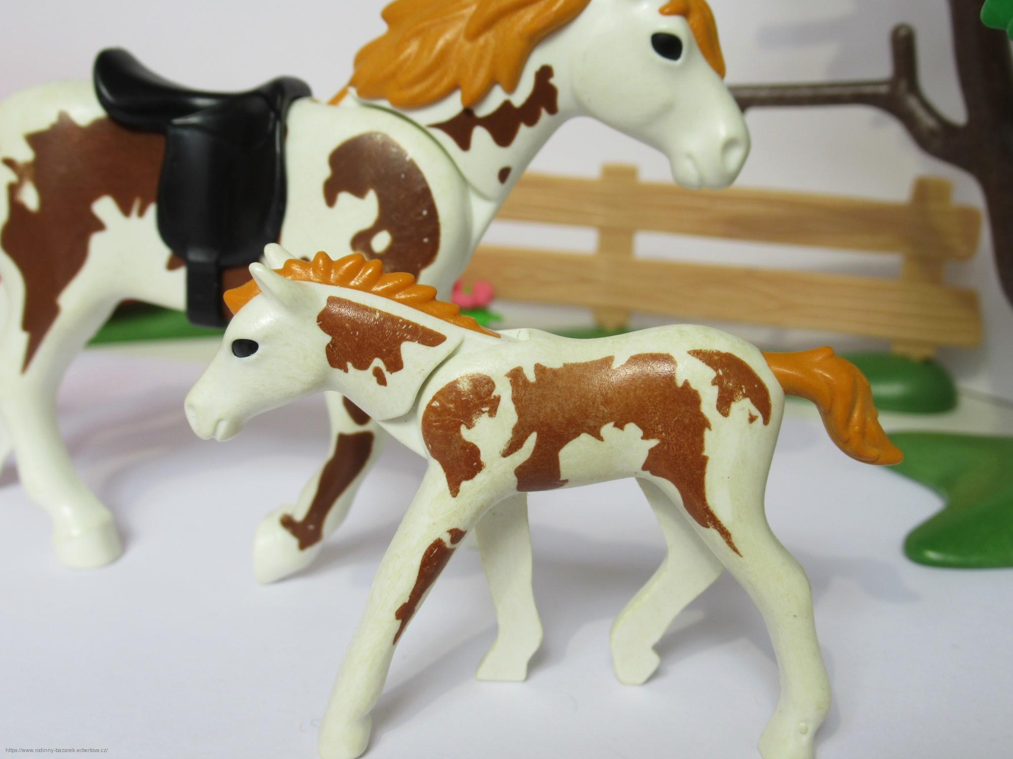 PLAYMOBIL ze setu 5227 Koňský trénink